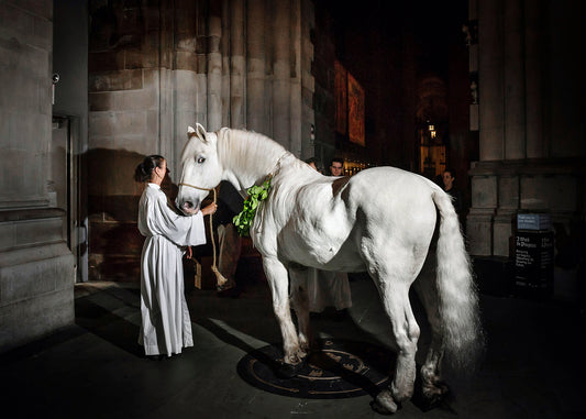 Animal Blessing, White Horse.